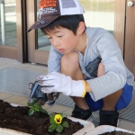 人権の花植え (1).JPG